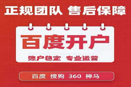 SEM广告投放策略：成功案例解析